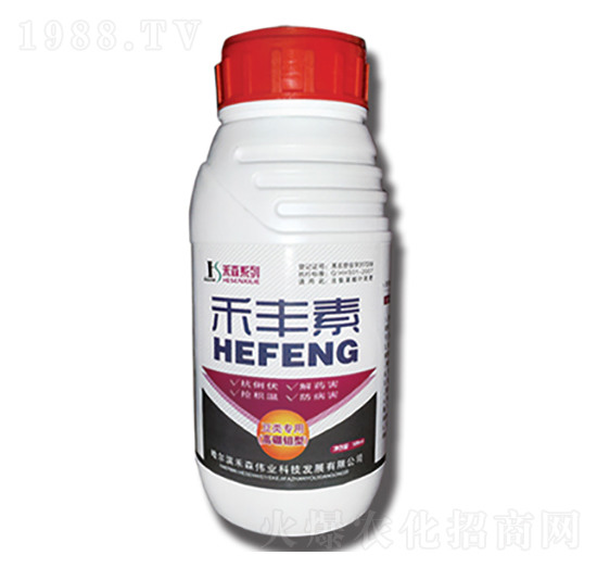 ���S��-��ɭ�r�I(y��)