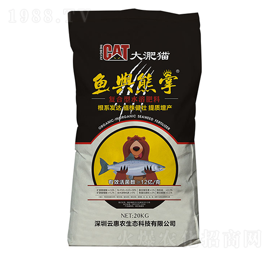 ����؈�~(y��)�c����-�ƻ��r(n��ng)