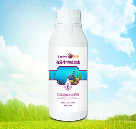 ��������̼���-���ׁ�