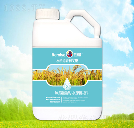 ˮ������²��-���ׁ�