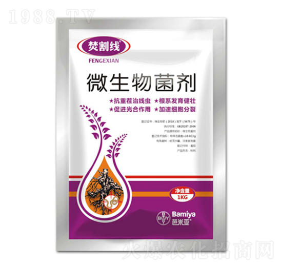 ΢�������-�ٸ-���ׁ�