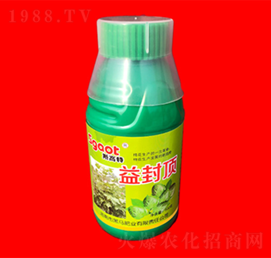 ����-˹����-���R�ʘI(y��)