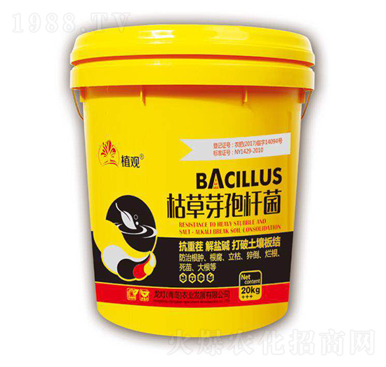 �ݲ�ѿ�ߗU��-ֲ�^-�����r(n��ng)�I(y��)