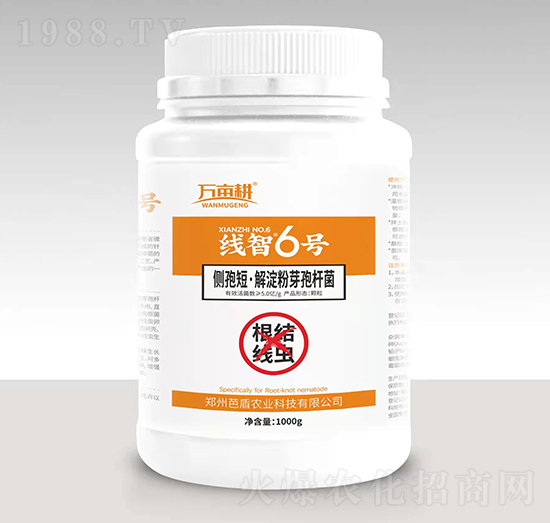 ���Y(ji��)���x(ch��ng)����-����6̖(h��o)-��ķ������