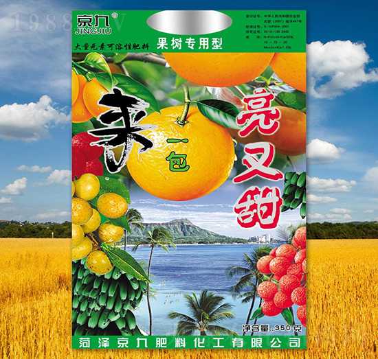 ��һ��������-����