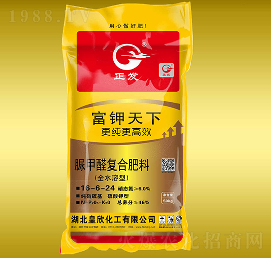 ���ȩ�ͺϷ���16-6-24-�������-����