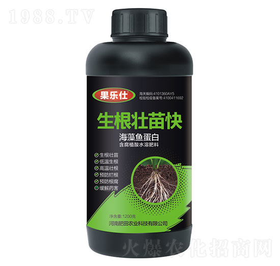 ���������-������-�����r(n��ng)�I(y��)