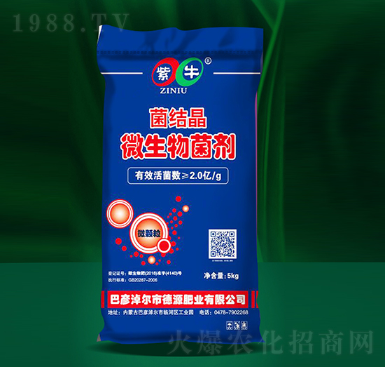 ���Y(ji��)��΢�������-��ţ����