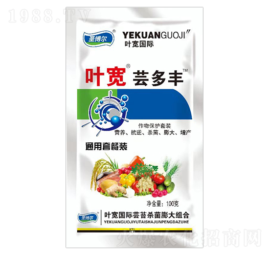 �~���|���S���ﱣ�o���b-ʥ��������