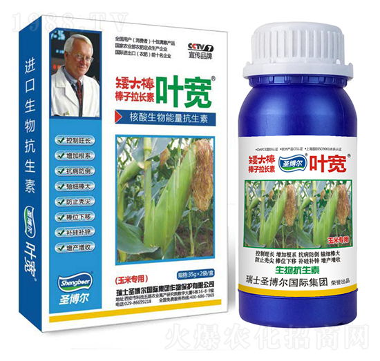 玉米專用葉面肥-多糖生物酶誘抗肽-葉寬-圣博爾生物