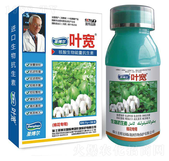 �޻������~���-��������ø�T����-�~��-ʥ��������