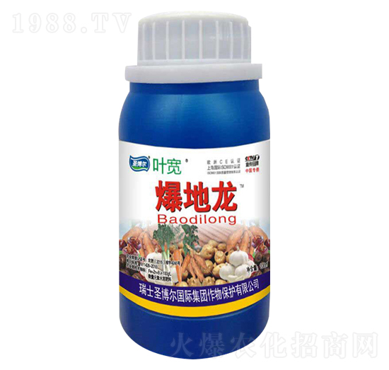 ������-�~��-ʥ��������