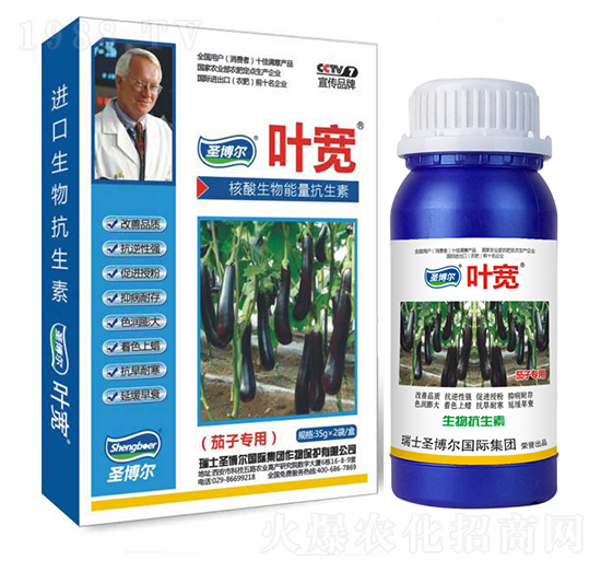 ���ӌ����~���-��������ø�T����-�~��-ʥ��������