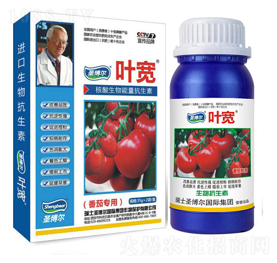 ���ь��Ì����~���-��������ø�T����-�~��-ʥ��������