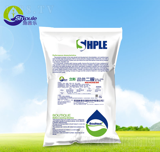 ���w���@-ʩ�՘�