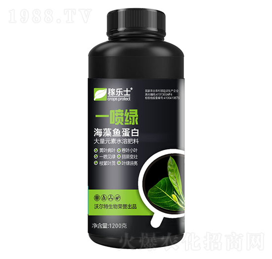 �����~����-һ���G-�ژ�(l��)ʿ-�֠���