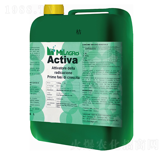 ����������-���h