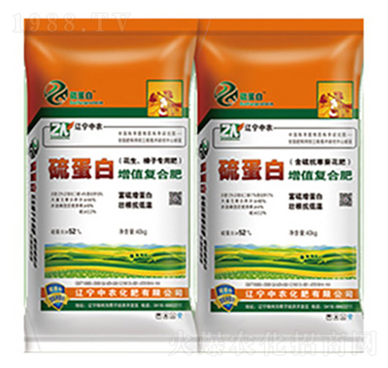 �򵰰����|(zh��)��(f��)�Ϸ�-���r(n��ng)����