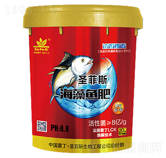 �����~(y��)��-ʥ��˹