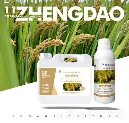 ˮ�������-��������