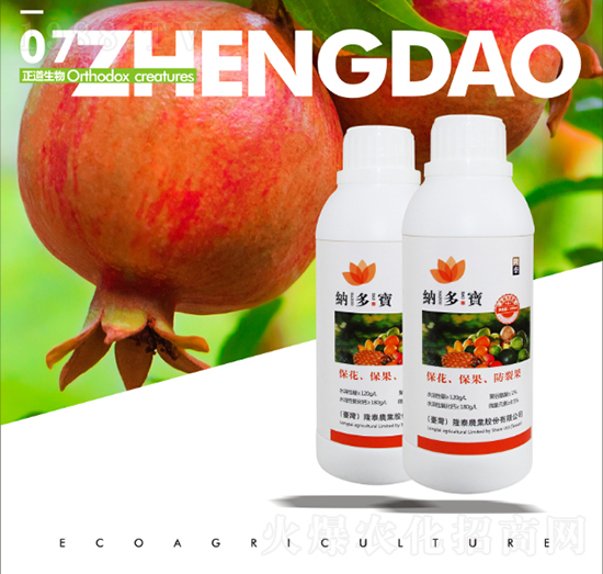 �~���-�{����-��������