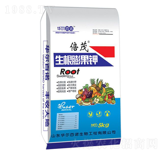 ��������-�A�����Z