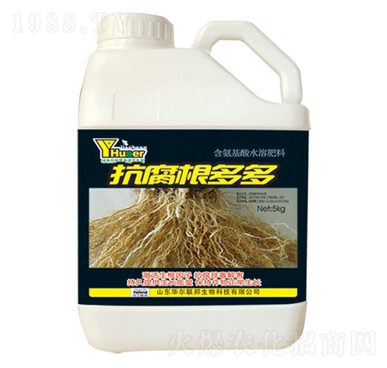 ���������-�A�����Z