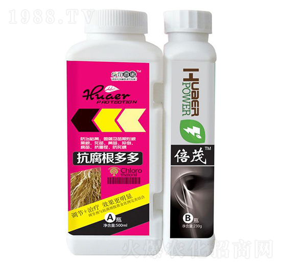 ���������+��ï-�A�����Z