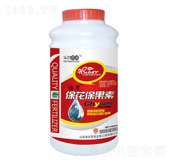 ����������-�A�����Z