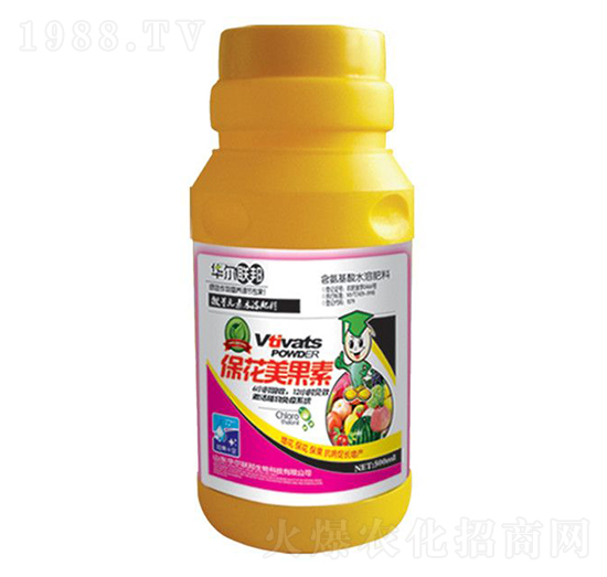 ����������-�A�����Z