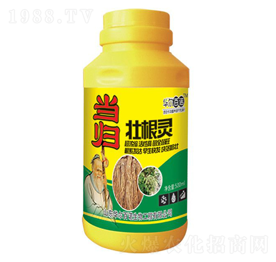 ���w�Ѹ��`-�A�����Z