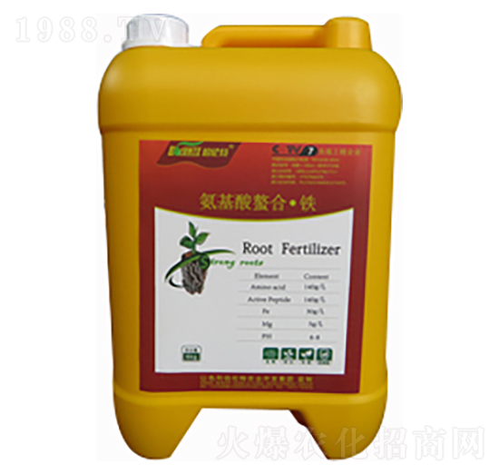 ���������ϡ��V-�ֲ���