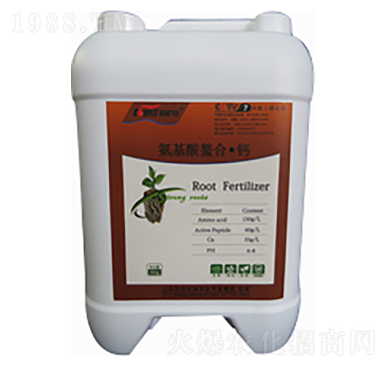 ���������ϡ��}-�ֲ���