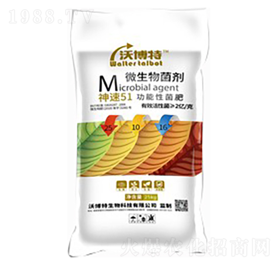 ����51�����Ծ���25-10-16-�ֲ���