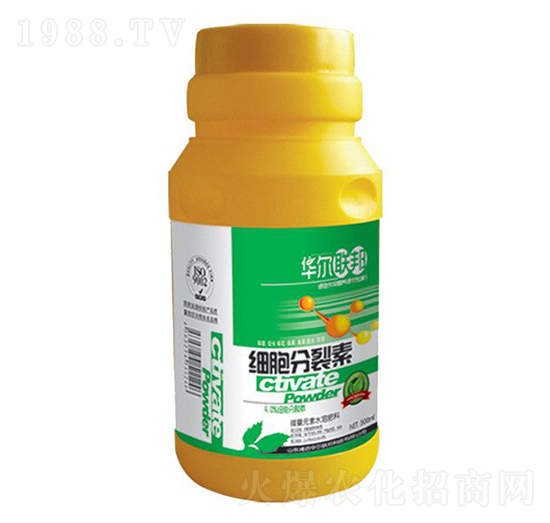 ����������-�A�����Z