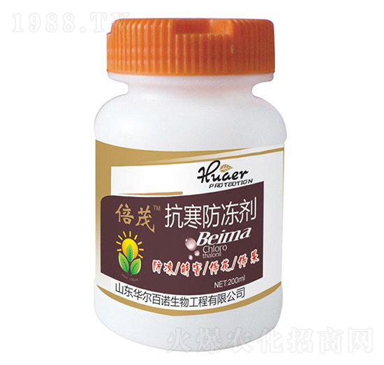 ����������-�A�����Z