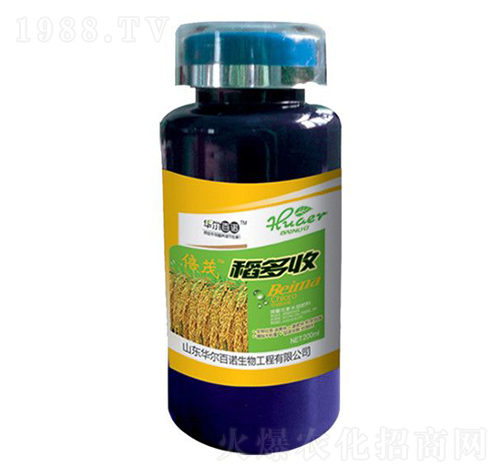 ������-�A�����Z