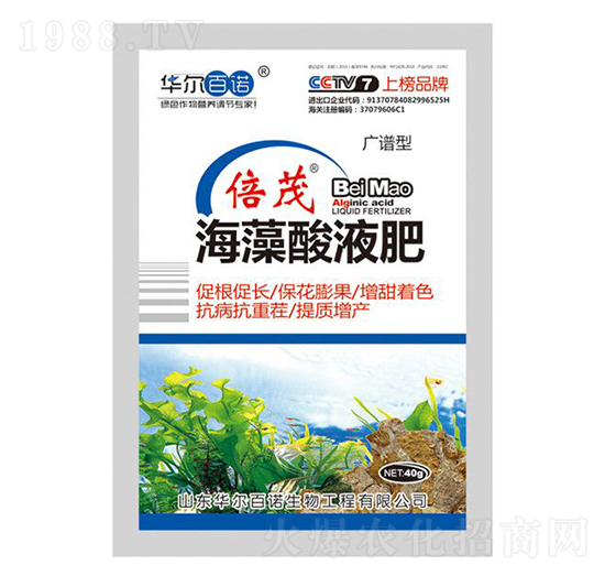 ������Һ��-�A�����Z