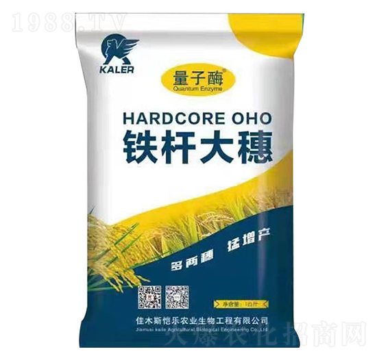 �F�U����-��(l��)�r(n��ng)�I(y��)