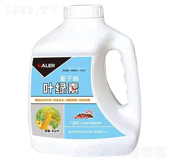 �~�G��-����ø-��(l��)�r(n��ng)�I(y��)