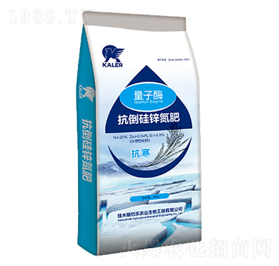 �������\����-����ø-���r(n��ng)�I(y��)