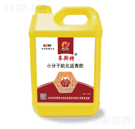 С���Ӻ��������-�f˹��-���r(n��ng)�I(y��)