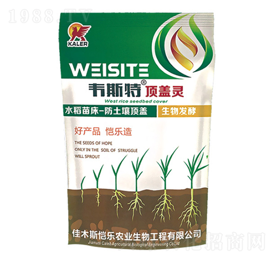 �紲��w�`-�f˹��-��(l��)�r(n��ng)�I(y��)