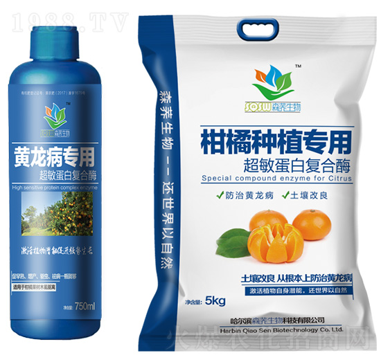 �����S�������ó������׏ͺ�ø-ɭ�w����