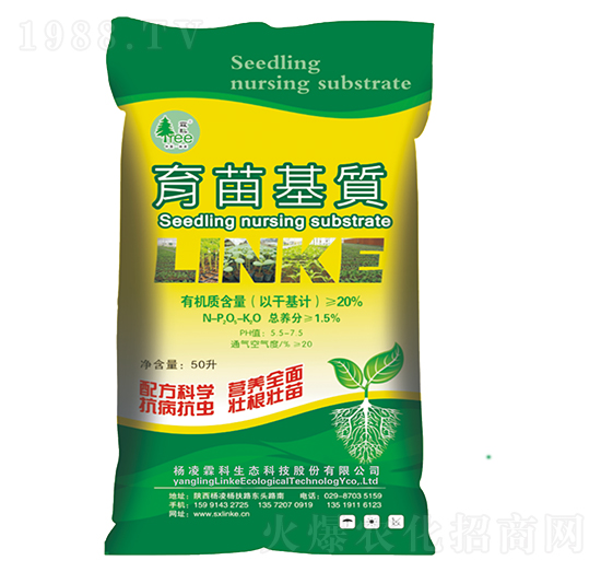 ������|(zh��)-�����ؿ�