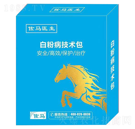 �׷۲����g(sh��)��-���R�t(y��)��-嫪{