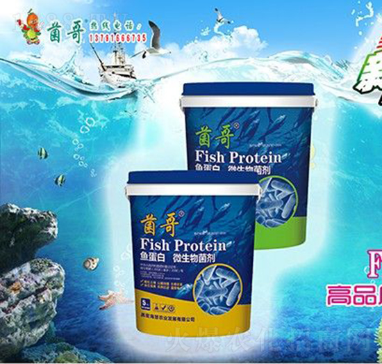 �~����΢�������-����