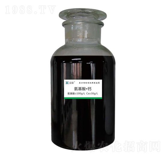 �����ᡤ�}-�h�����B(t��i)