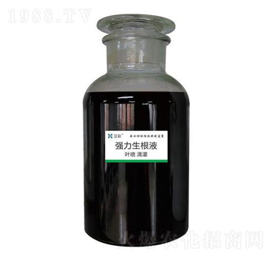 ����������-�h�����B(t��i)