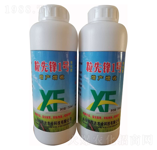 �����h1̖(h��o)-�|�x�_(d��)